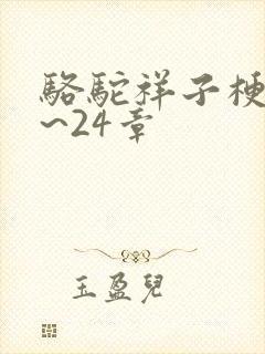 骆驼祥子梗概1~24章