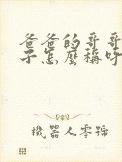 爸爸的哥哥的儿子怎么称呼