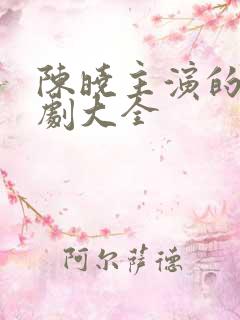 陈晓主演的电视剧大全