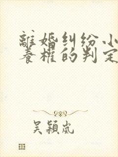 离婚纠纷小孩抚养权的判定