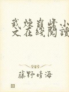 武炼巅峰小说全文在线阅读免费