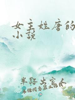 女主姓唐的重生小说