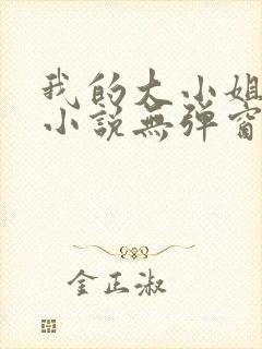 我的大小姐老婆小说无弹窗