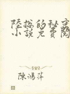 陆总的秘密恋人小说免费阅读