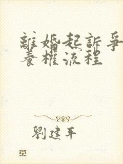 离婚起诉争夺抚养权流程