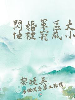 闪婚军区大佬后他被宠成小娇妻小说免费阅读