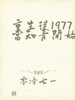 重生从1977当知青开始
