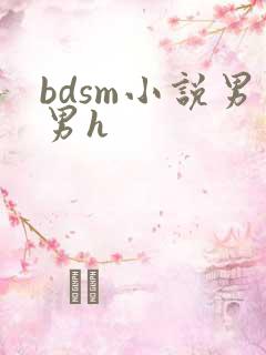 bdsm小说男男h