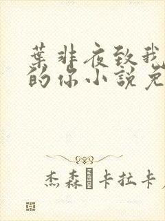 叶非夜致我最爱的你小说免费阅读