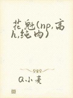 花魁(np,高h,纯肉)