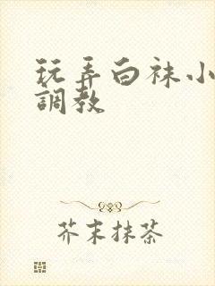 玩弄白袜小男生调教