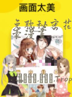 免耽秘密花园土豪漫画：结局+番外