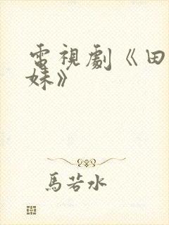 电视剧《田姐辣妹》