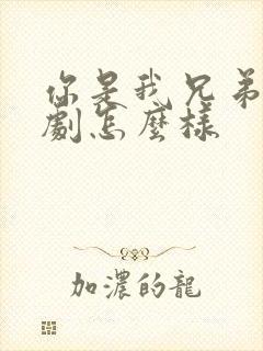 你是我兄弟电视剧怎么样