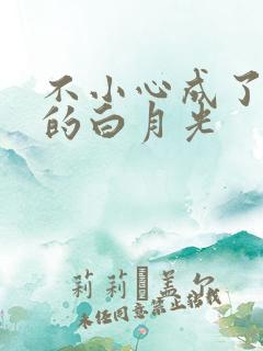 不小心成了大佬的白月光