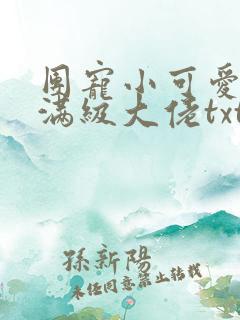 团宠小可爱成了满级大佬txt