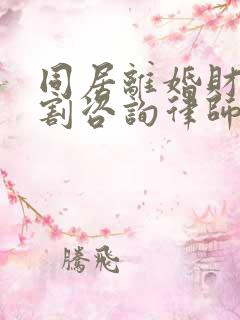 同居离婚财产分割咨询律师