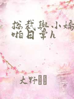 总裁与小娇妻啪啪日常h