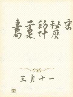 妻子的秘密大结局是什么