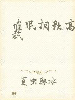 催眠调教高冷总裁