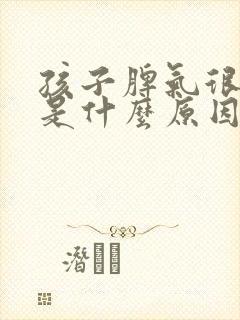 孩子脾气很暴躁是什么原因