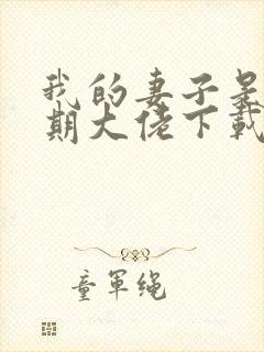 我的妻子是大乘期大佬下载