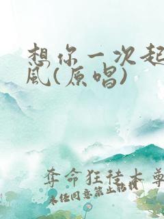 想你一次起一阵风(原唱)