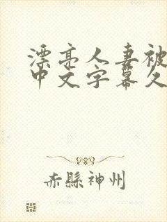 漂亮人妻被中出中文字幕久久