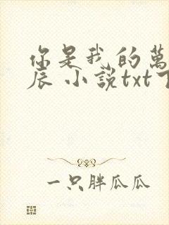 你是我的万千星辰 小说txt下载