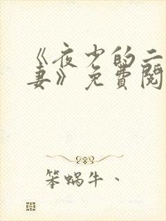 《夜少的二婚新妻》免费阅读