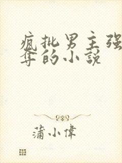 疯批男主强取豪夺的小说