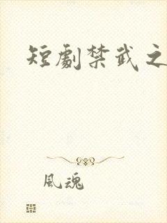 短剧禁武之战