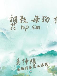 调教 母狗 校花 np sm