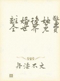 离婚后她惊艳了全世界免费阅读全文