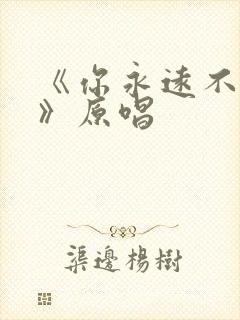 《你永远不懂我》原唱