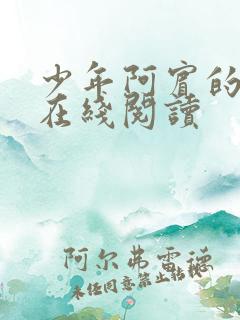 少年阿宾的小说在线阅读