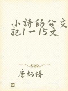 小诗的公交车日记1一15文