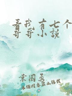 看我有七个大佬哥哥小说