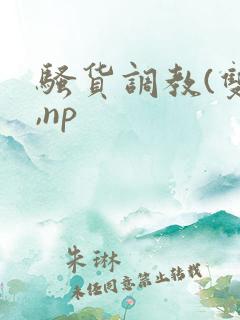 骚货调教(双性,np
