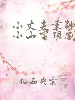 小丈夫袁帅和陆小山电视剧免费观看