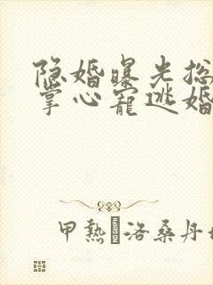 隐婚曝光总裁的掌心宠逃婚了贺聿舟全本阅