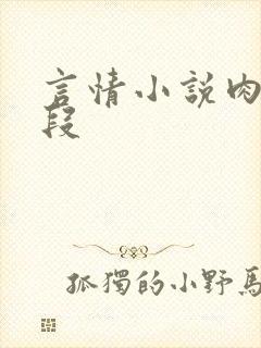 言情小说肉肉片段