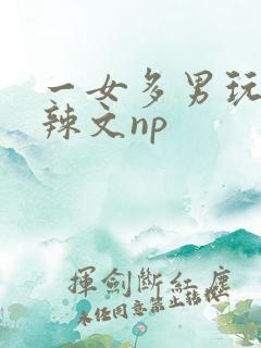 一女多男玩弄h辣文np
