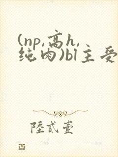 (np,高h,纯肉)bl主受