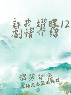 许我耀眼12集剧情介绍