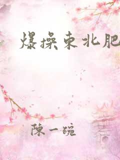 爆操东北肥熟女