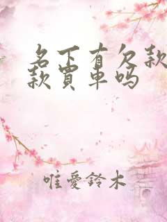 名下有欠款能贷款买车吗