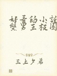 好看的小说推荐双男主校园文