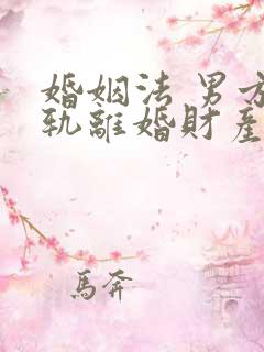 婚姻法 男方出轨离婚财产分割