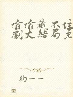 偷偷藏不住电视剧大结局免费观看